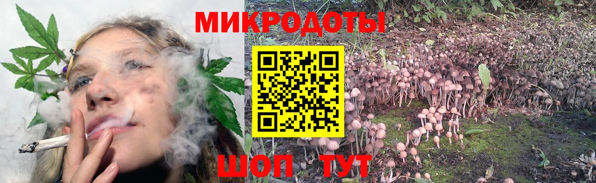 Псилоцибиновые грибы GOLDEN TEACHER Елизово